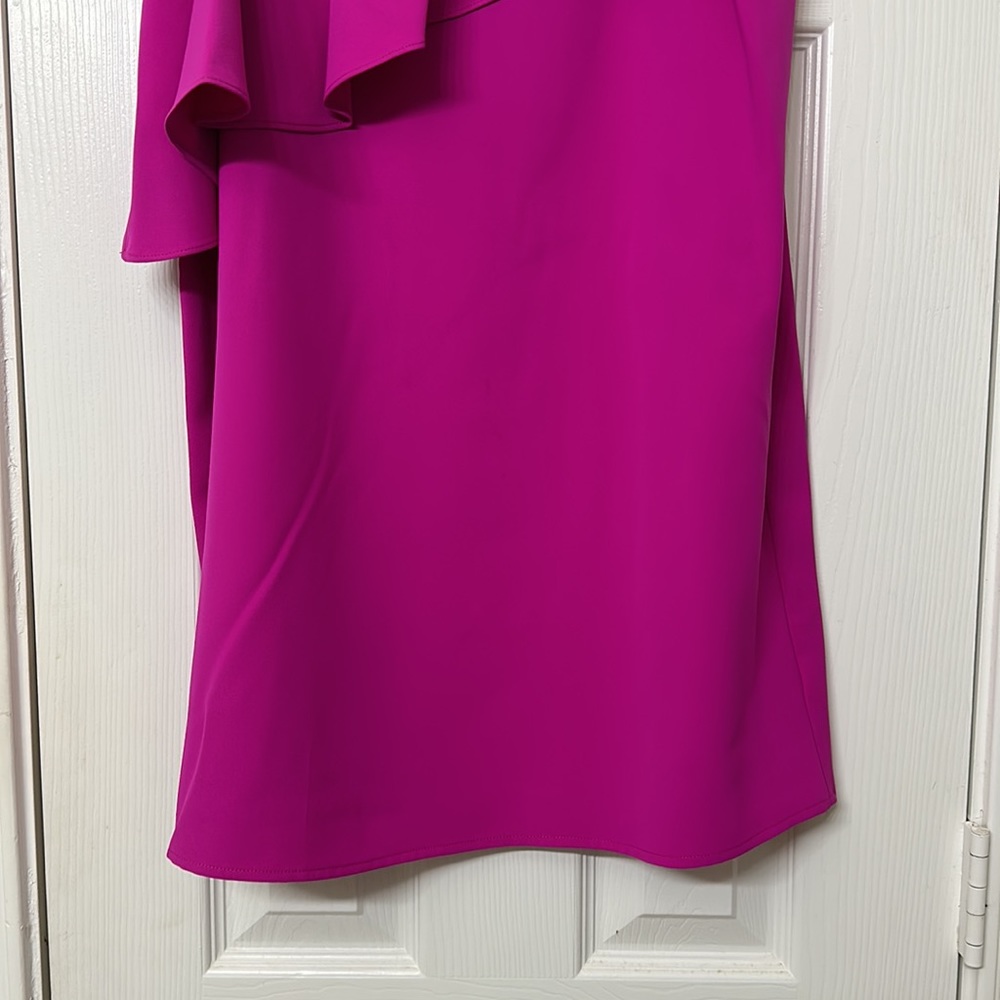 Fuscia Dress - image 3